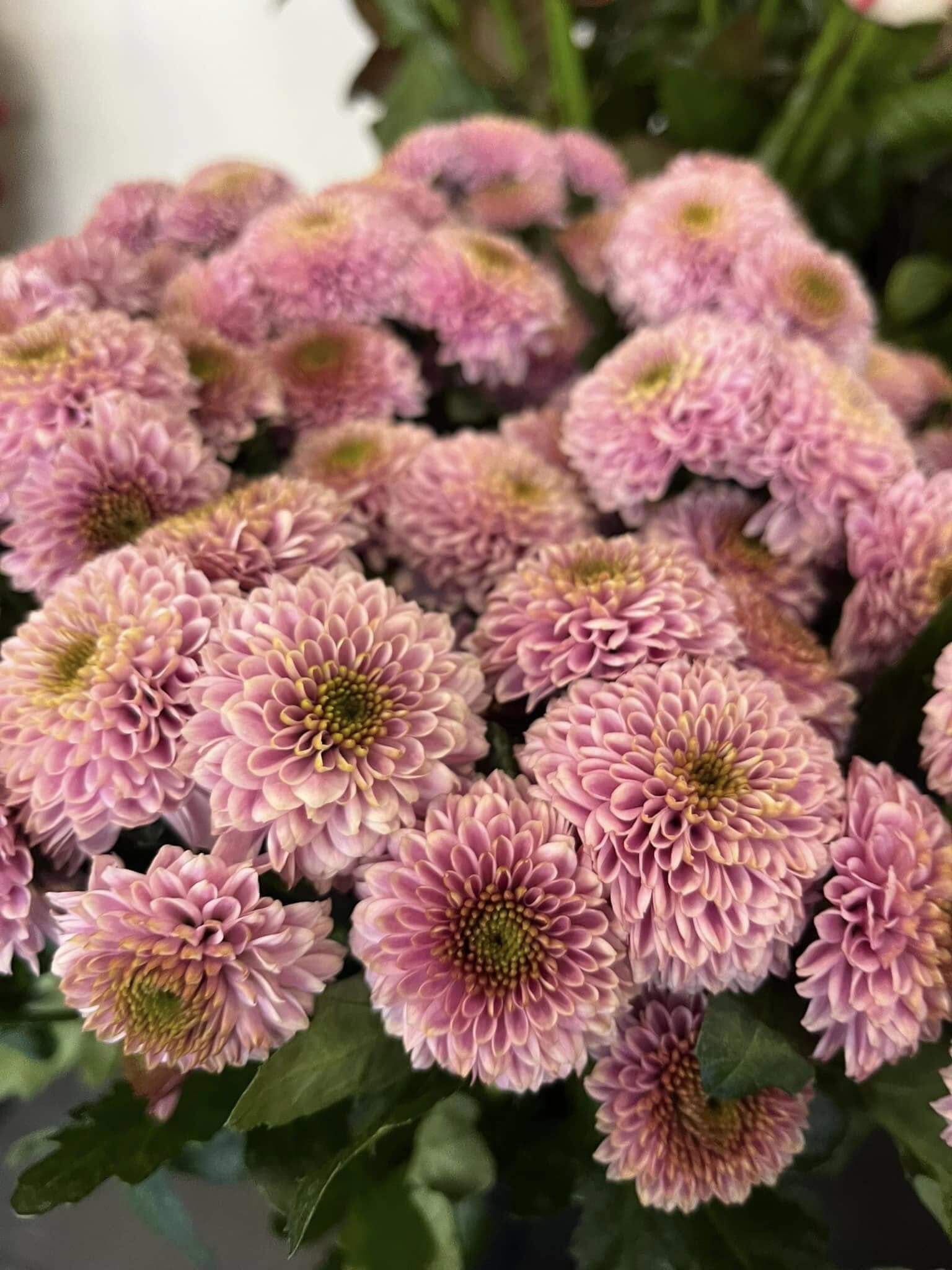 bouquet de fleurs