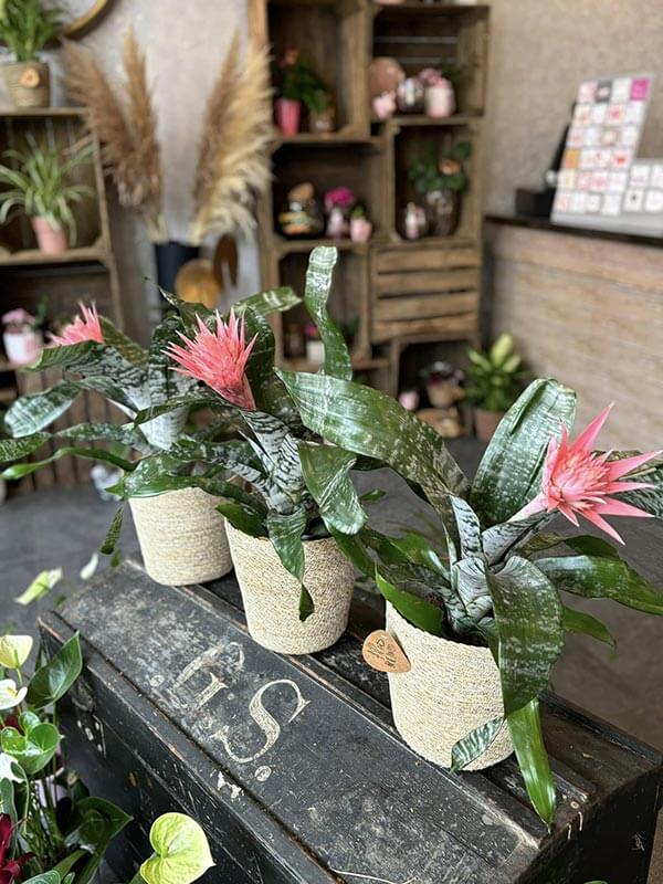 ateliers art floral